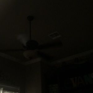 Meet your Posher, Shane